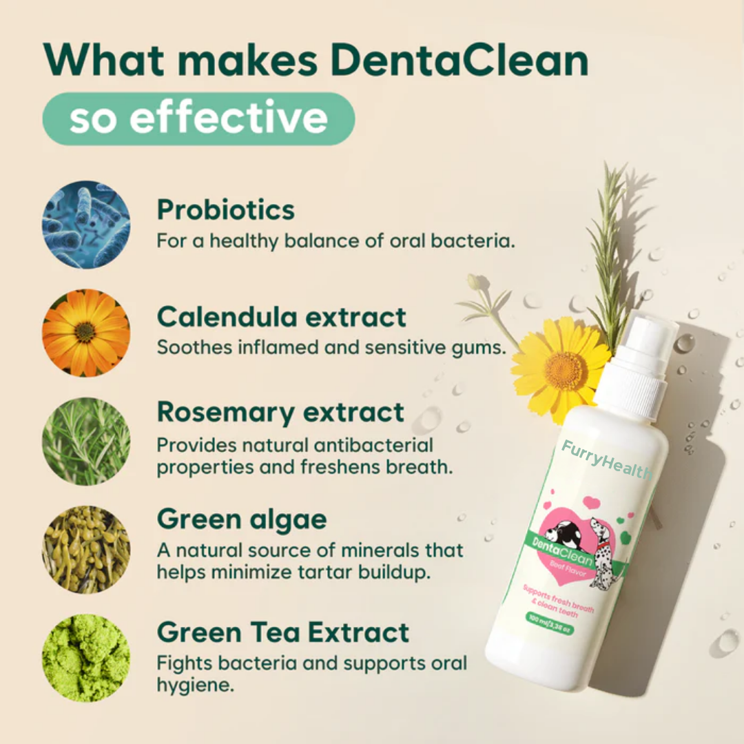 DentaClean for Dogs & Cats