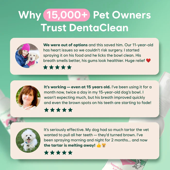 DentaClean for Dogs & Cats