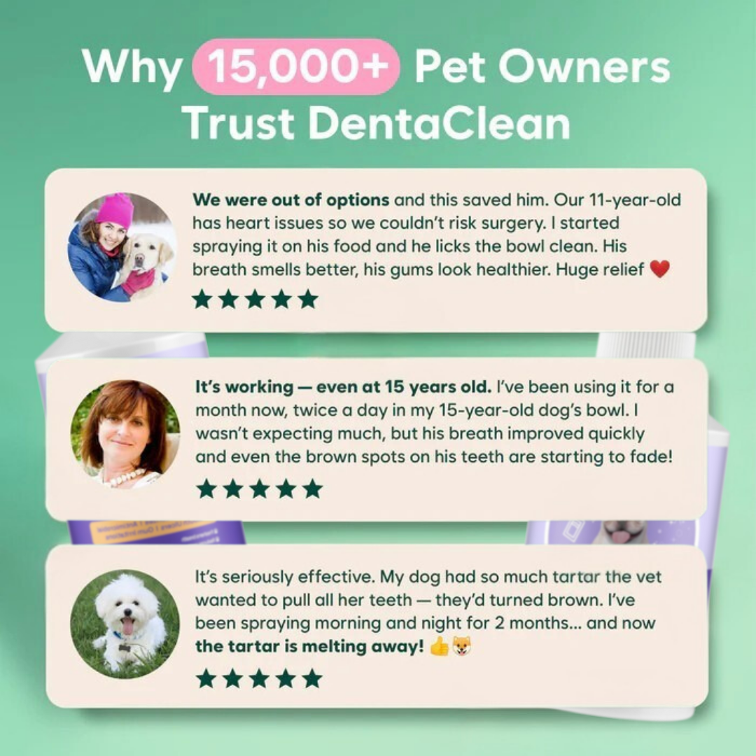 DentaClean for Dogs & Cats