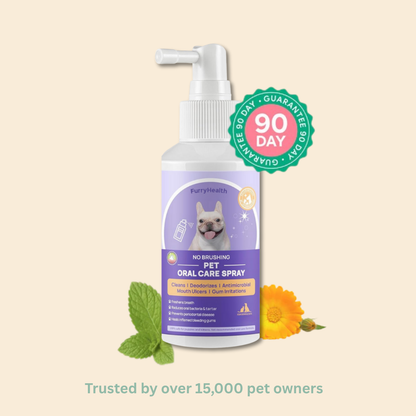 DentaClean for Dogs & Cats