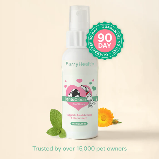 DentaClean for Dogs & Cats