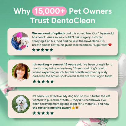 DentaClean for Dogs & Cats