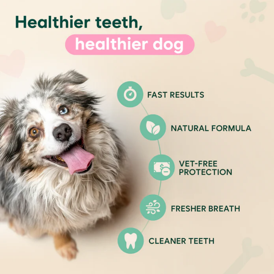 DentaClean for Dogs & Cats