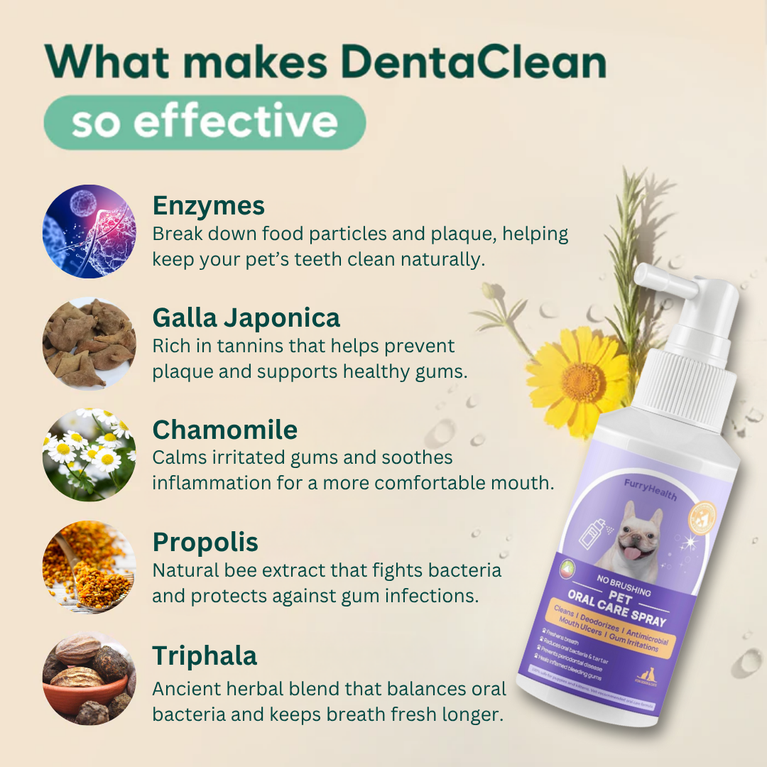 DentaClean for Dogs & Cats